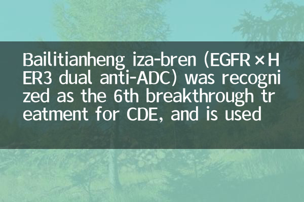 BailitianHeng Iza-Bren (EGFR × HER3 Dual Anti-ADC) wurde als 6. Durchbruchsbehandlung für CDE anerkannt und wird für platinresistente wiederkehrende Eierstockkrebs usw. verwendet.
