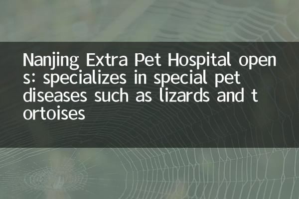 Nanjing Extra Pet Hospital wird geöffnet: Spezialisiert auf spezielle Haustierkrankheiten wie Eidechsen und Schildkröten
