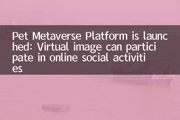 Die PET -Metaverse -Plattform wird gestartet: Virtuelles Image kann an sozialen Online -Aktivitäten teilnehmen