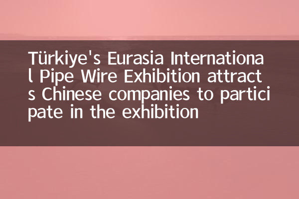 Türkiyes Ausstellung Eurasien International Pipe Wire zieht chinesische Unternehmen an, um an der Ausstellung teilzunehmen